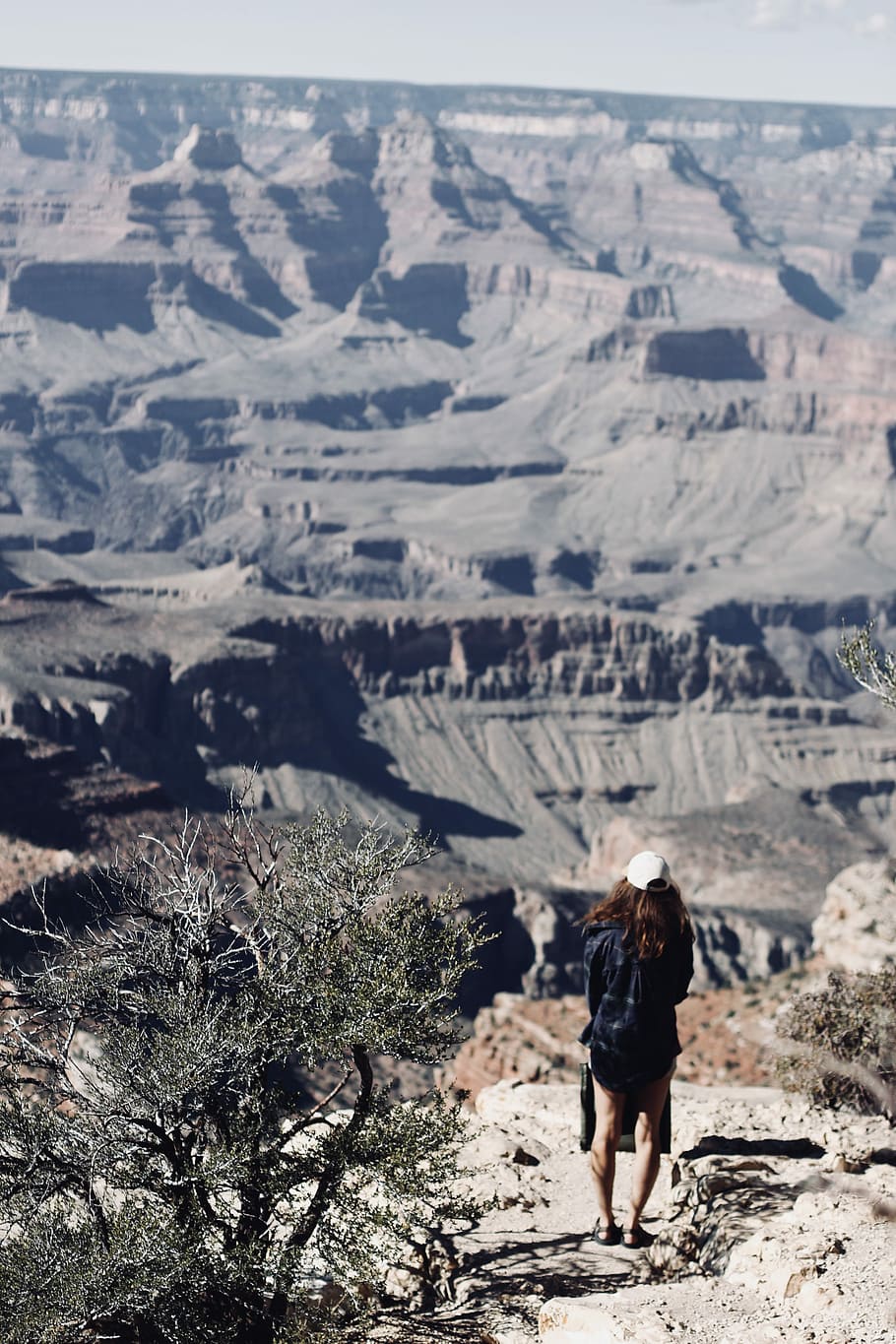 woman wearing cap standing near tree facing mountain during daytime, Grand Canyon, Arizona U.S.A HD wallpaper