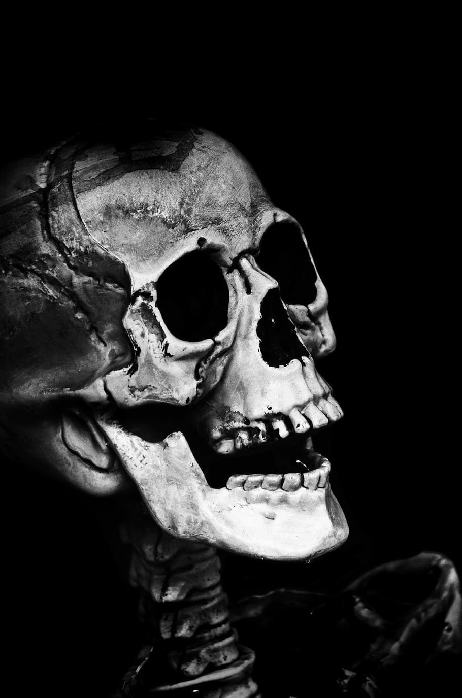 human skull, halloween, people, mask, dummy, scary, holidays, HD wallpaper