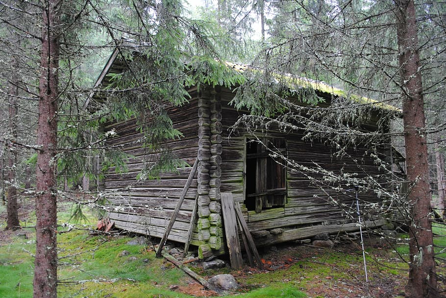barn, floberget, dala, floda, sweden, woods, remote, historic HD wallpaper