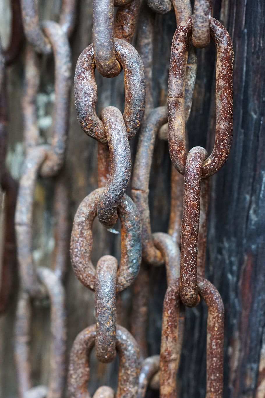 chain, invoice, iron, rusty, metal, close-up, no people, focus on foreground HD wallpaper