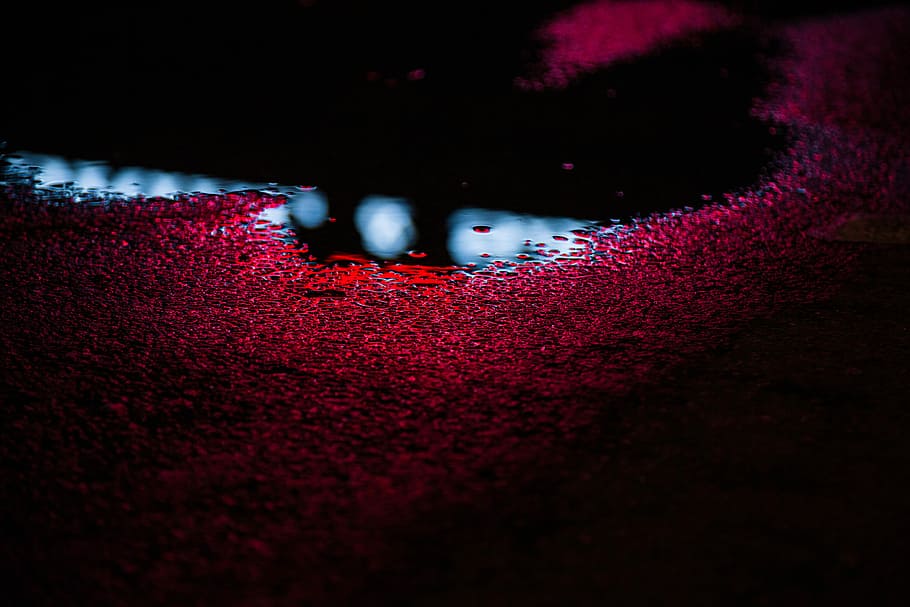 photo of water with rose petals, untitled, street, neon, light