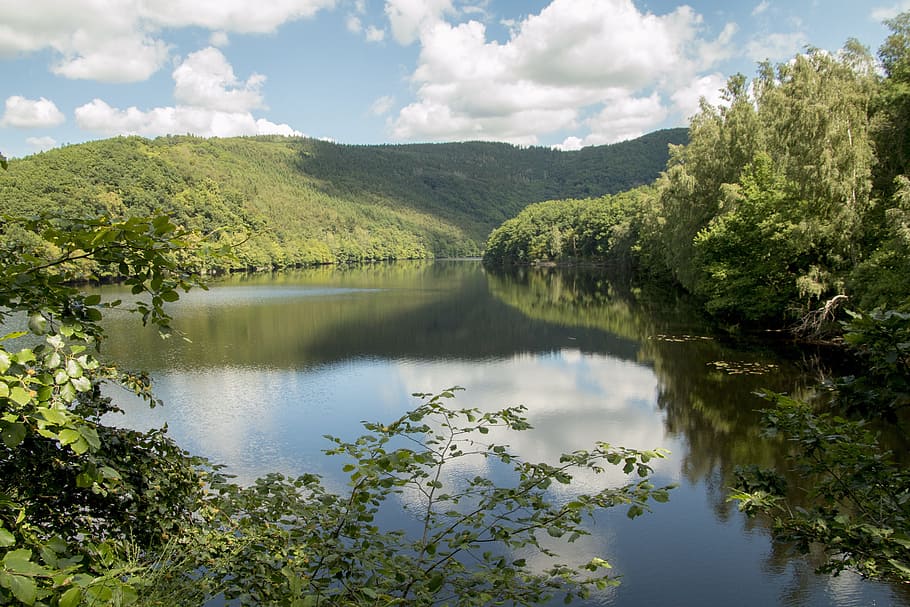 calm waters surrounded by green leaves, lake, forest, eifel HD wallpaper