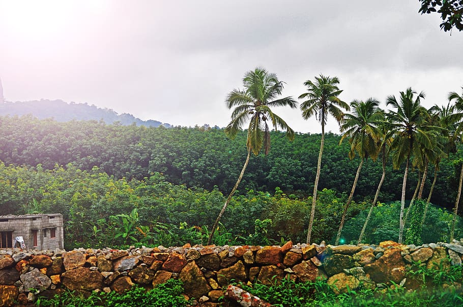 photography of mountain near grey concrete house, palm trees bear house HD wallpaper