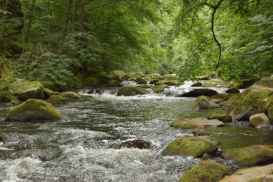 Bode, River, Water, Stones, Idyllic, mood, forest, trees, green