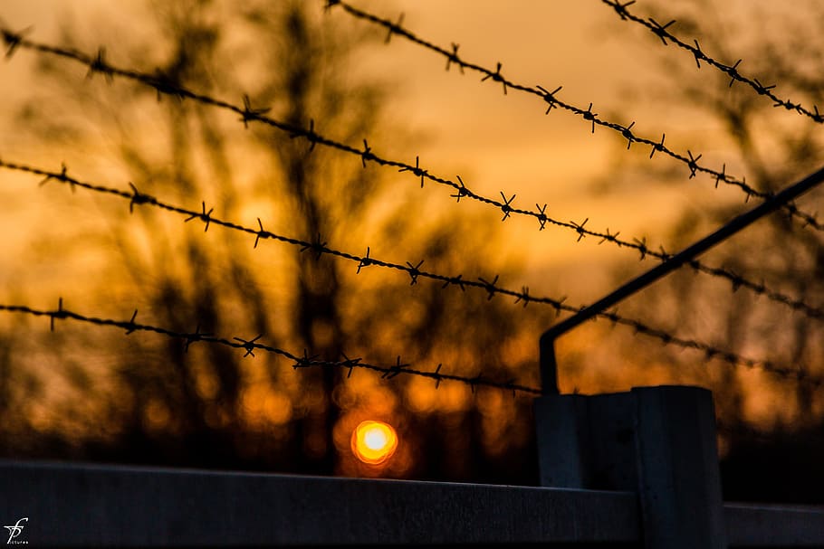 spring, evening, nature, landscape, sunset, horizon, dark, outdoors HD wallpaper