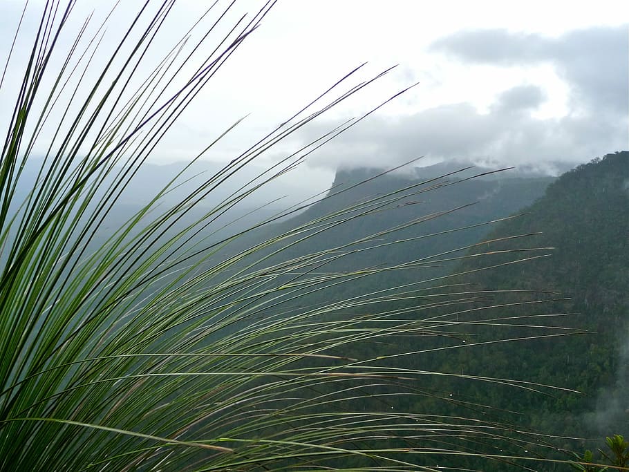Wind, Mist, Outside, Cold, Clouds, sky, grass, greenery, landscape HD wallpaper