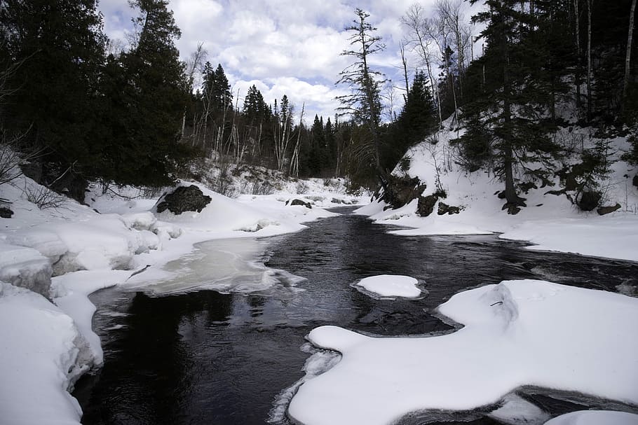 Winter Scenic with trees with snow and ice in Temperance River State Park, Minnesota, HD wallpaper