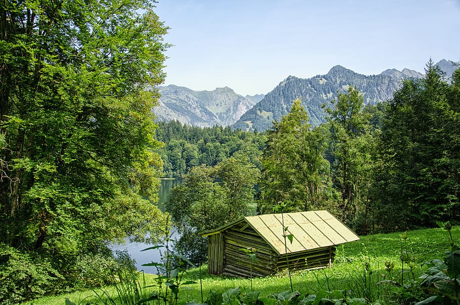allgäu, oberstdorf, lake, mountains, forest, trees, bavaria, HD wallpaper