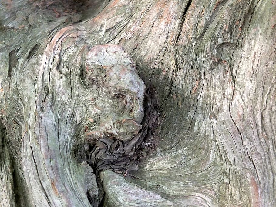 tree, old, wood, brown, cracked, structure, dry, tribe, weathered HD wallpaper