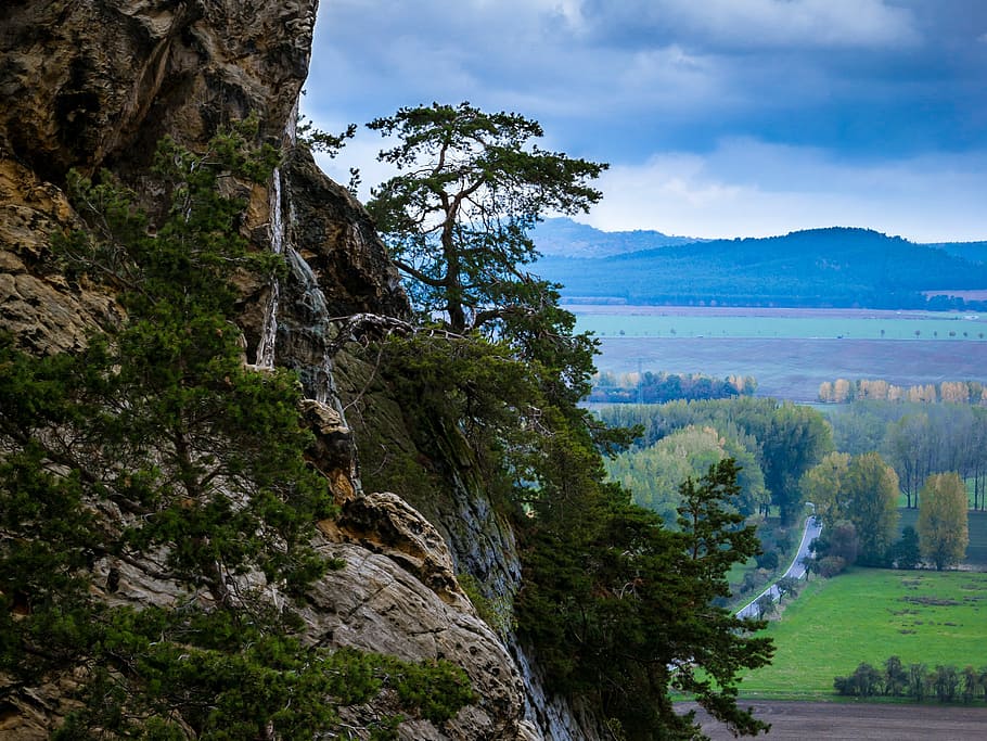 Rock, Tree, Devil'S Wall, Mountain, vision, outlook, resin HD wallpaper