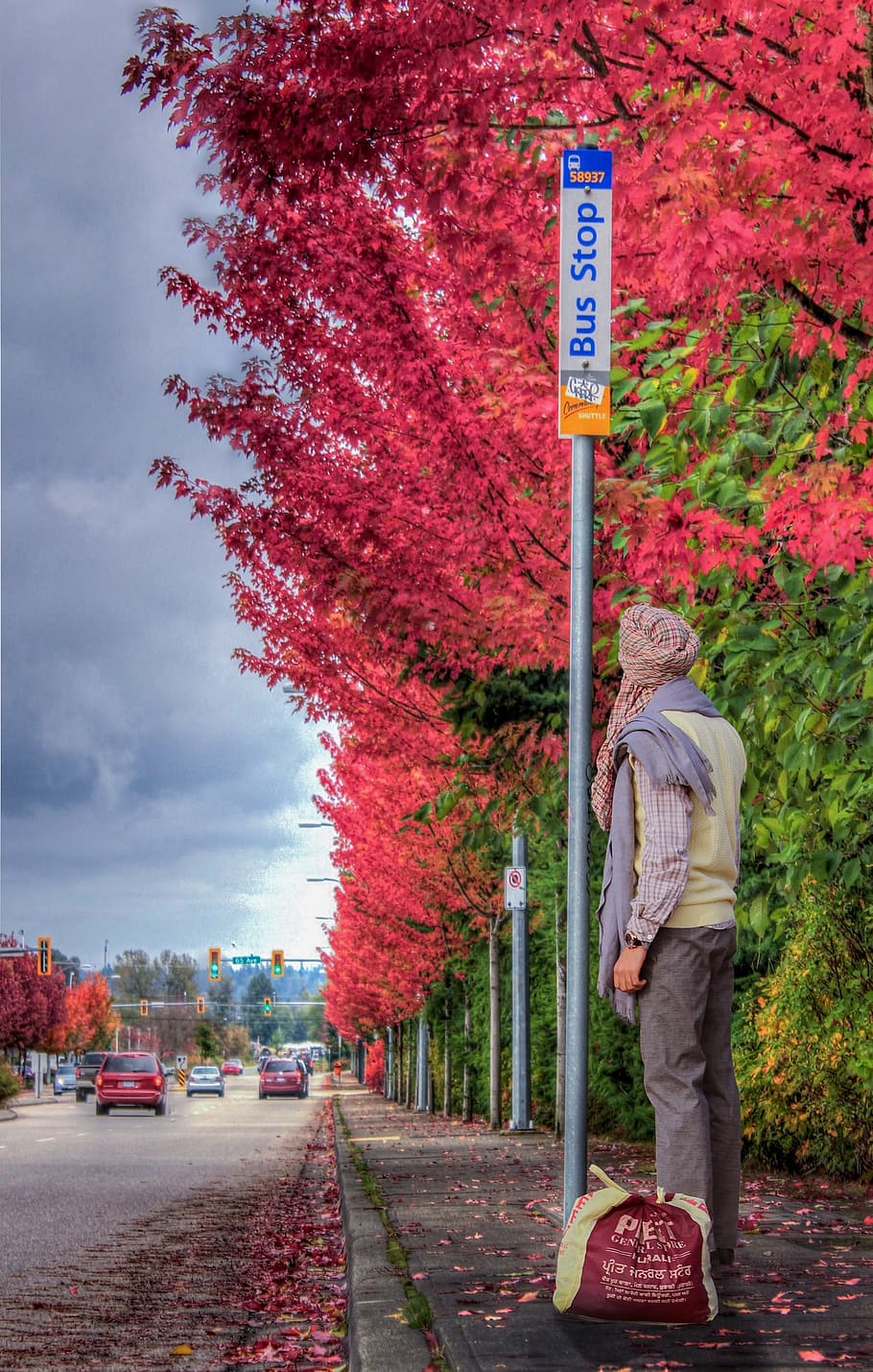 Desi, Trees, Nature, City, Awesome, red, travel, sky, trip HD wallpaper