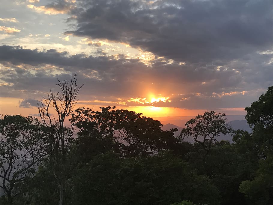 sunset, cloud, eventide, sky, landscape, sol, tree, plant, beauty in nature HD wallpaper