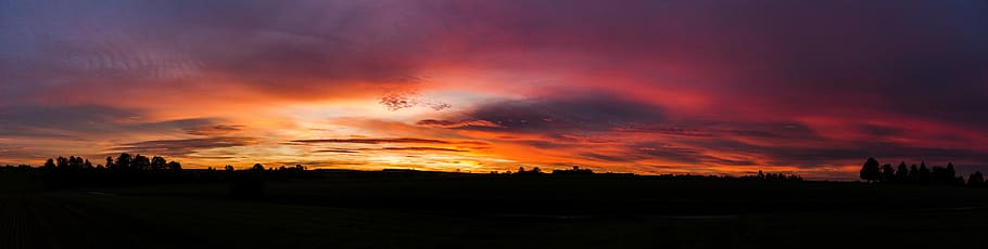 Colour-Burst, horizon of trees and clouds, sunset, landscape HD wallpaper