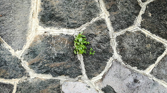 wallpaper, stone's, structure, nature, rock, lava, lava stone HD wallpaper