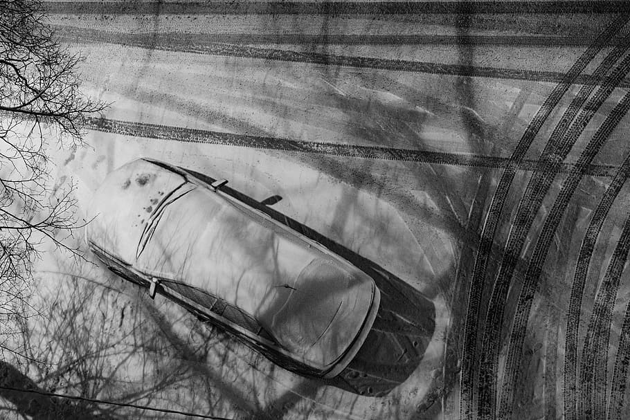 grayscale photography of car parked near tree, grayscale photo of car HD wallpaper