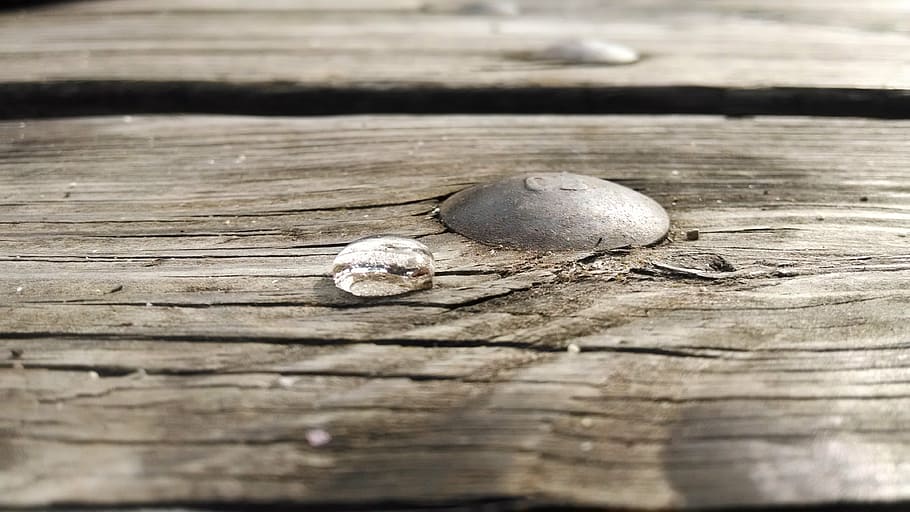 picnic, table, water, drop, nail, wood, wood - material, animal wildlife HD wallpaper