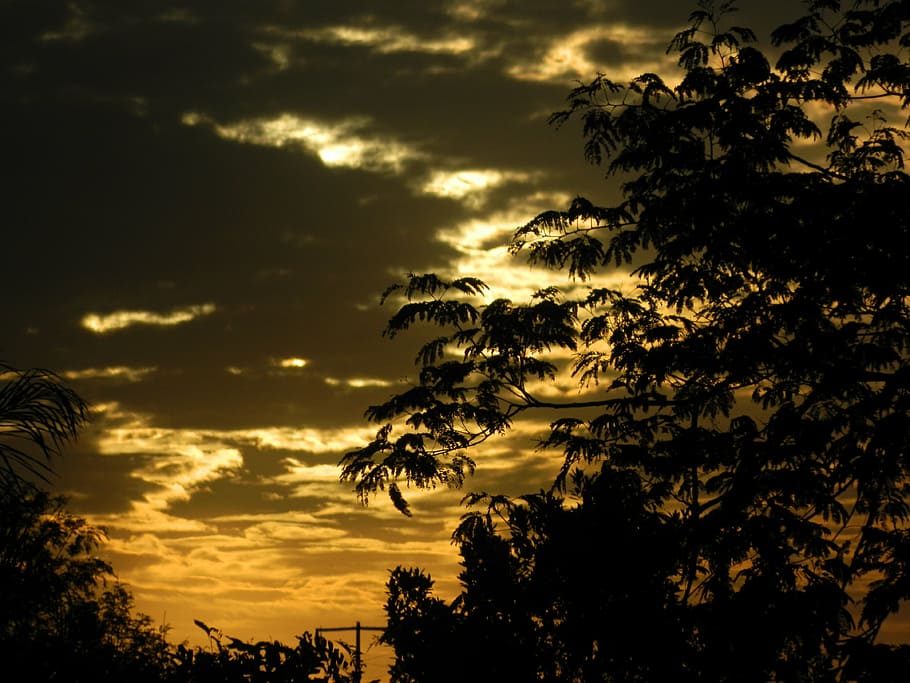 eventide, sunset, backcountry, clouds, branch, rays of sunshine HD wallpaper