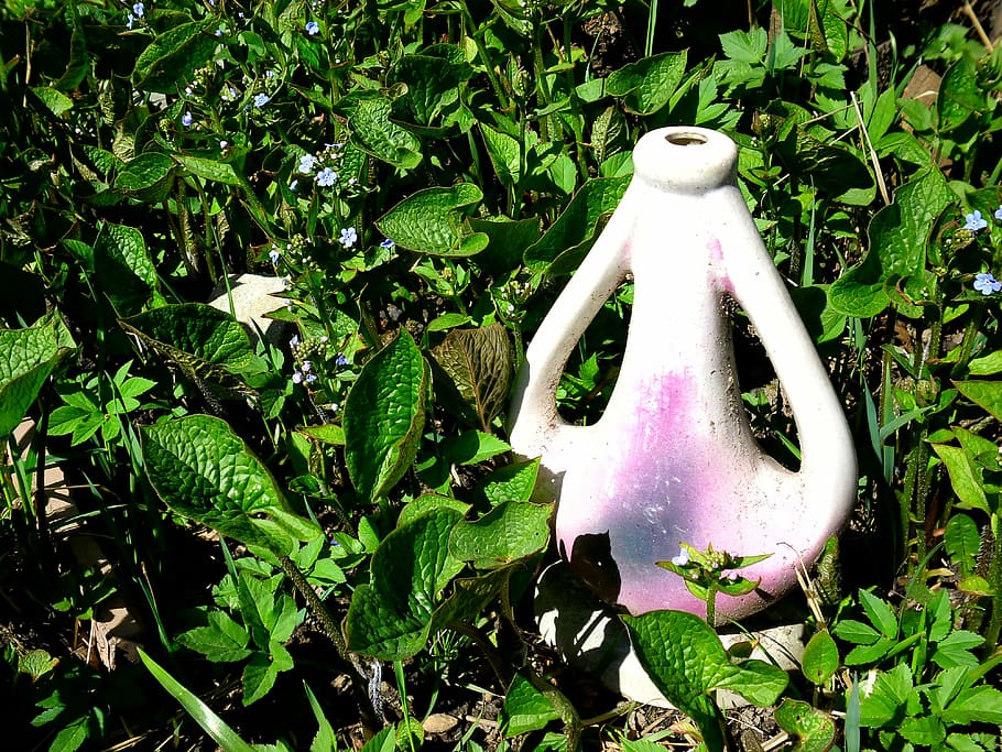 amphora, decanter, design, garden, purple, grass, decorative HD wallpaper