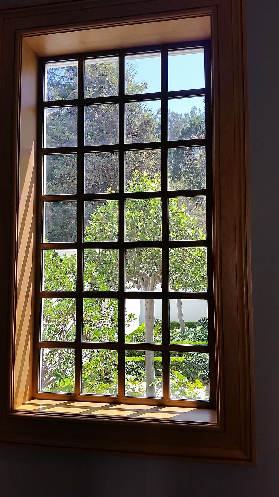 green leafed trees near window, window view, garden view, light HD wallpaper