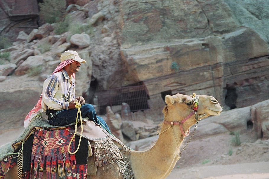 man riding camel, bedouin, dromedary, petra, the red, the colorful, HD wallpaper
