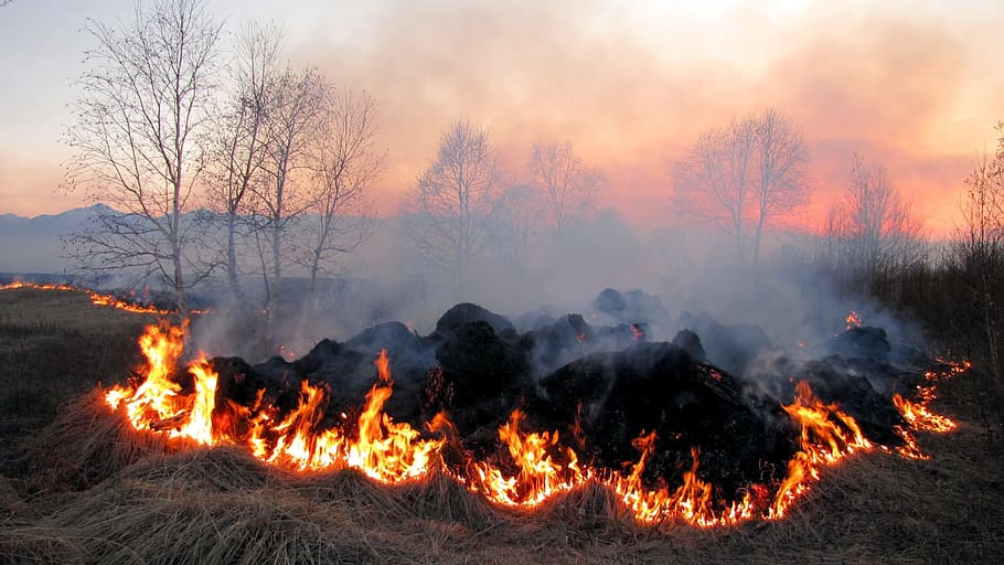 fire, flame, koster, burning, coals, spark, smoke, firewood HD wallpaper