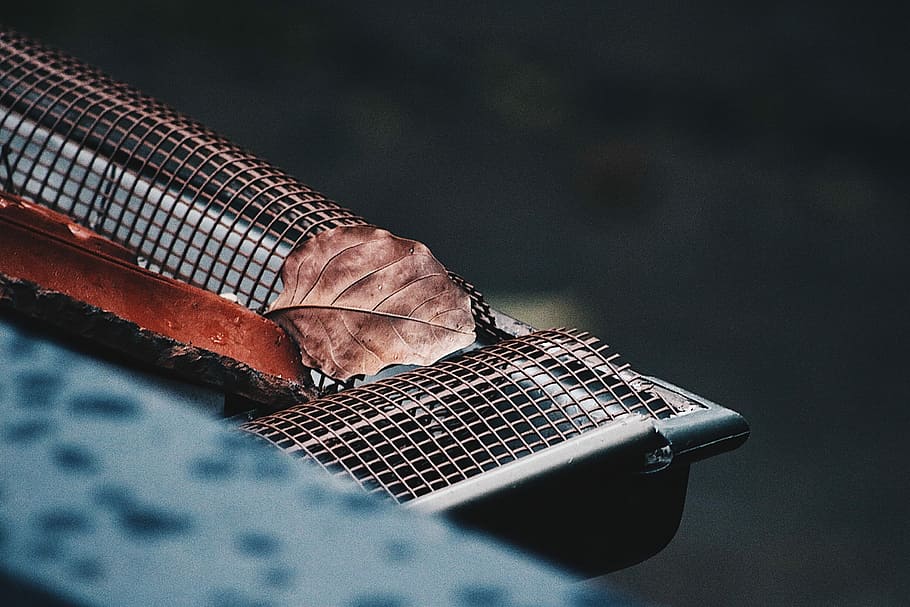 shallow photography of dry leaf on steel frame, dried leaf on gutter selective focus photography