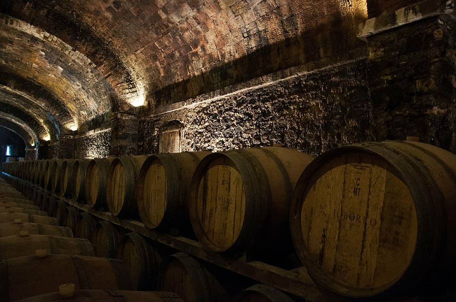 brown wooden beer kegs, botti, lights, cellar, wine, ancient HD wallpaper