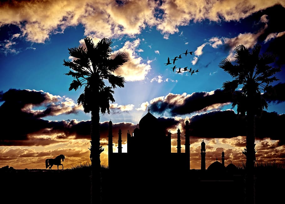 silhouette photo of mosque, exotic, architecture, evening sky HD wallpaper