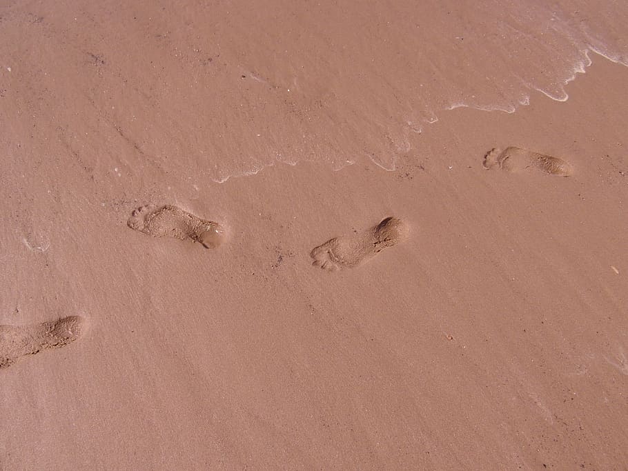 footprints, traces, sand, beach, nature, sea, land, high angle view HD wallpaper