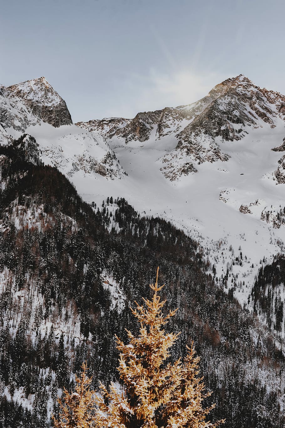 snow covered brown mountain at daytime, mountain rage under blue sky during daytime HD wallpaper