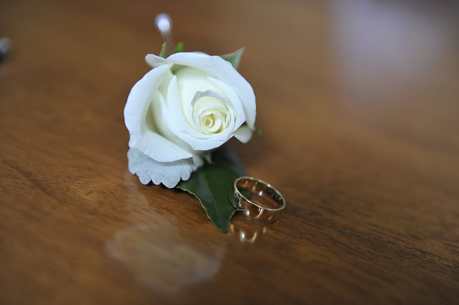 Flower, Wedding, Ring, Love, Bride, romantic, wood - material HD wallpaper