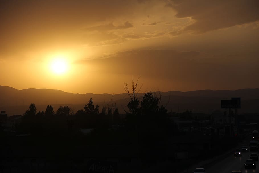 sunset, tree, amazing, palmer, sunrise, travel, offer, vacation HD wallpaper