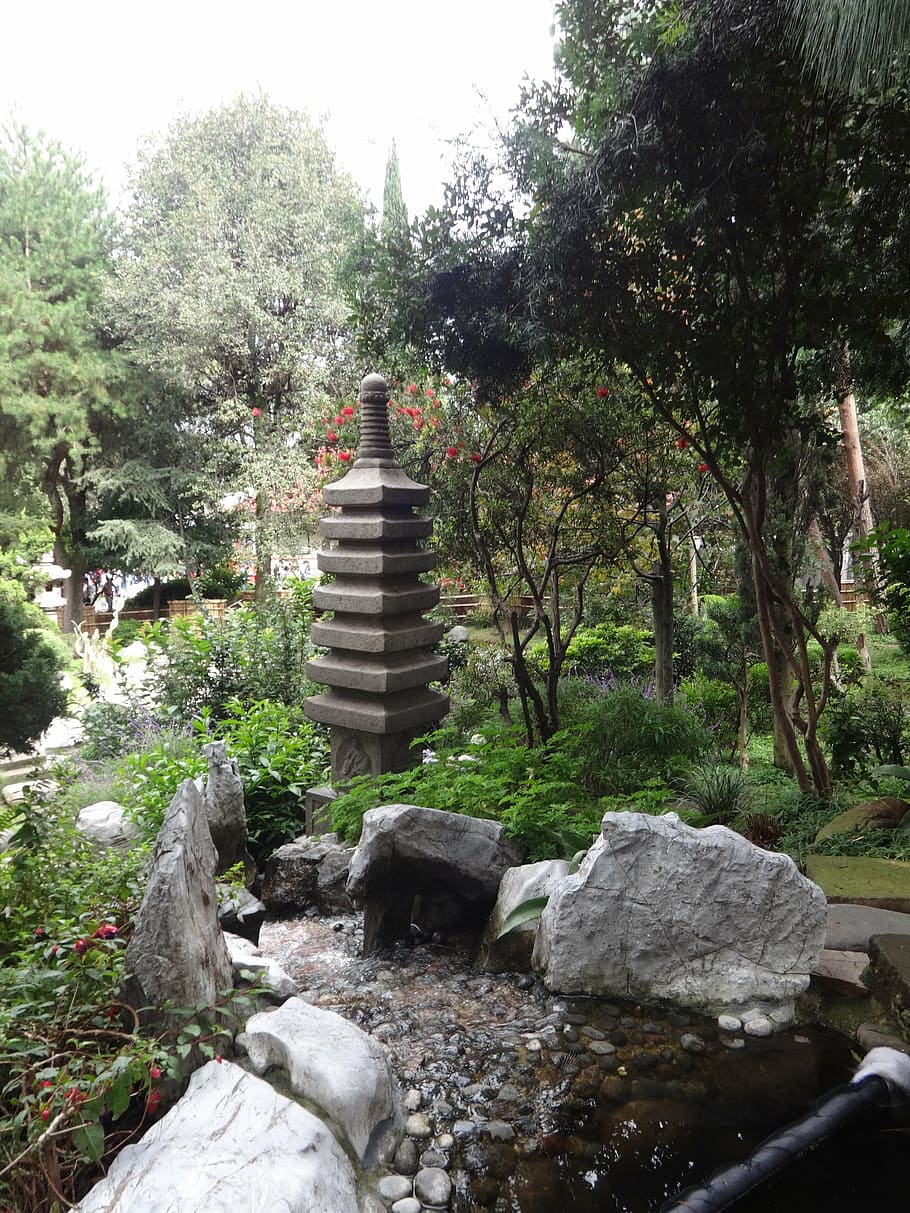 garden, japanese, source, water, plant, tree, rock, nature HD wallpaper