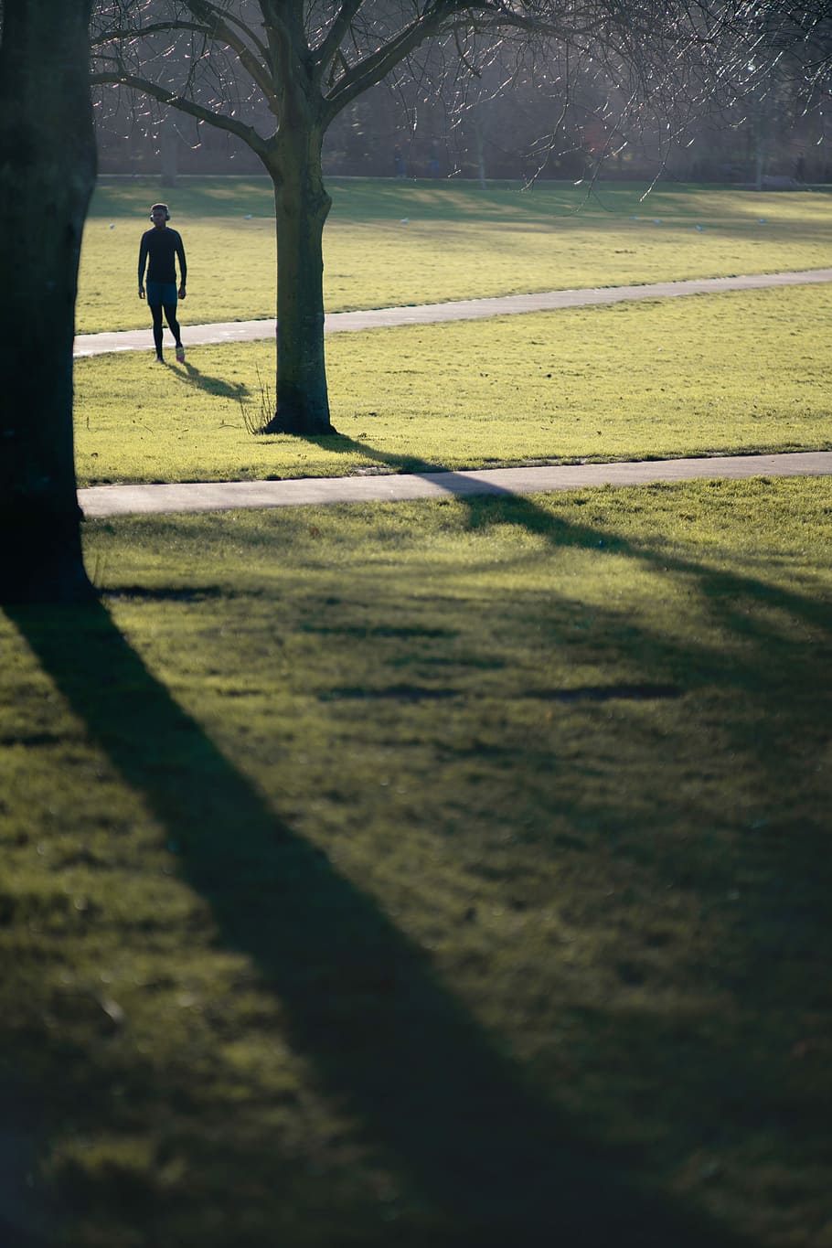 man standing near the tree during daytime, man in lawn beside tree HD wallpaper