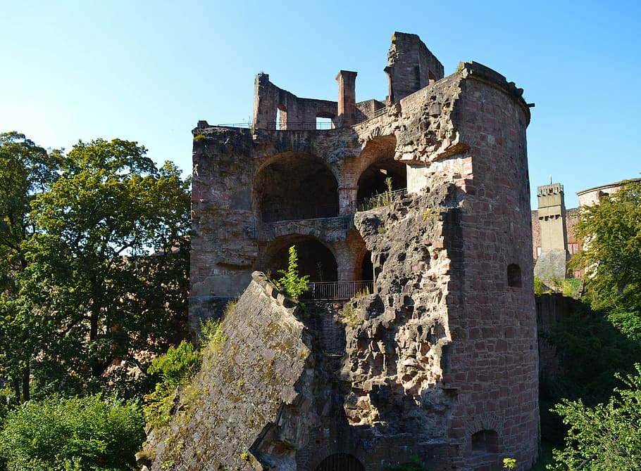 heidelberg, castle, heidelberger schloss, germany, building, HD wallpaper