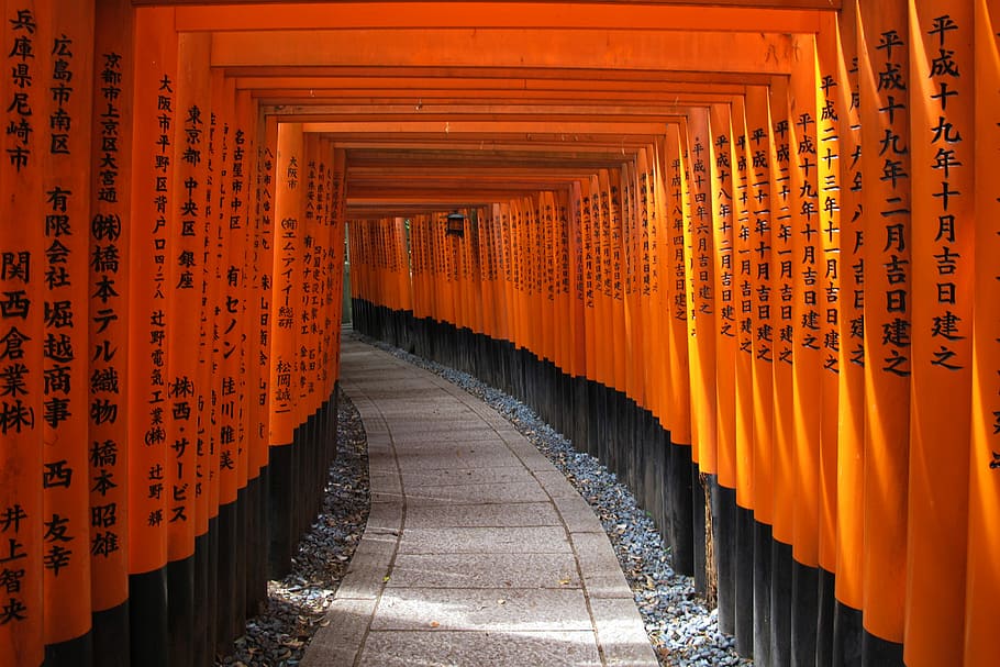 pathway with wooden arch gates with kanji scripts, empty concrete pathway under orange tunnel HD wallpaper