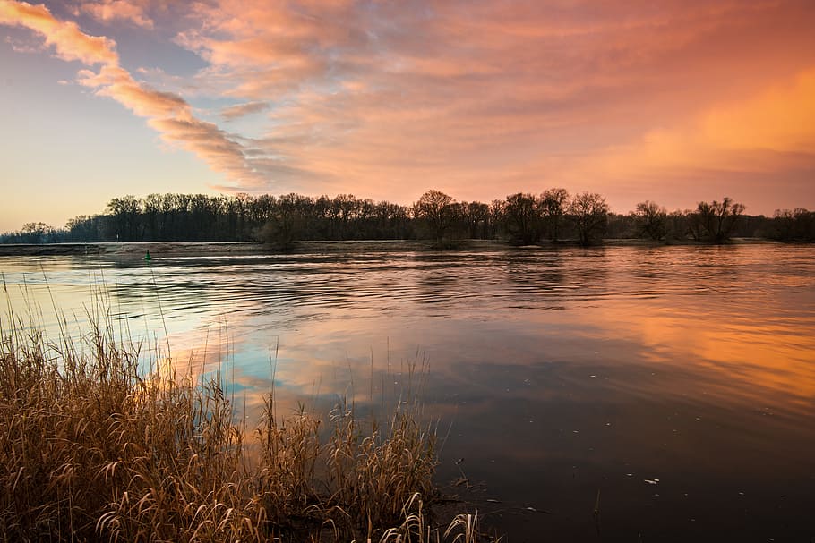 time lapse photography of lake under golden hour, elbe, sunrise HD wallpaper