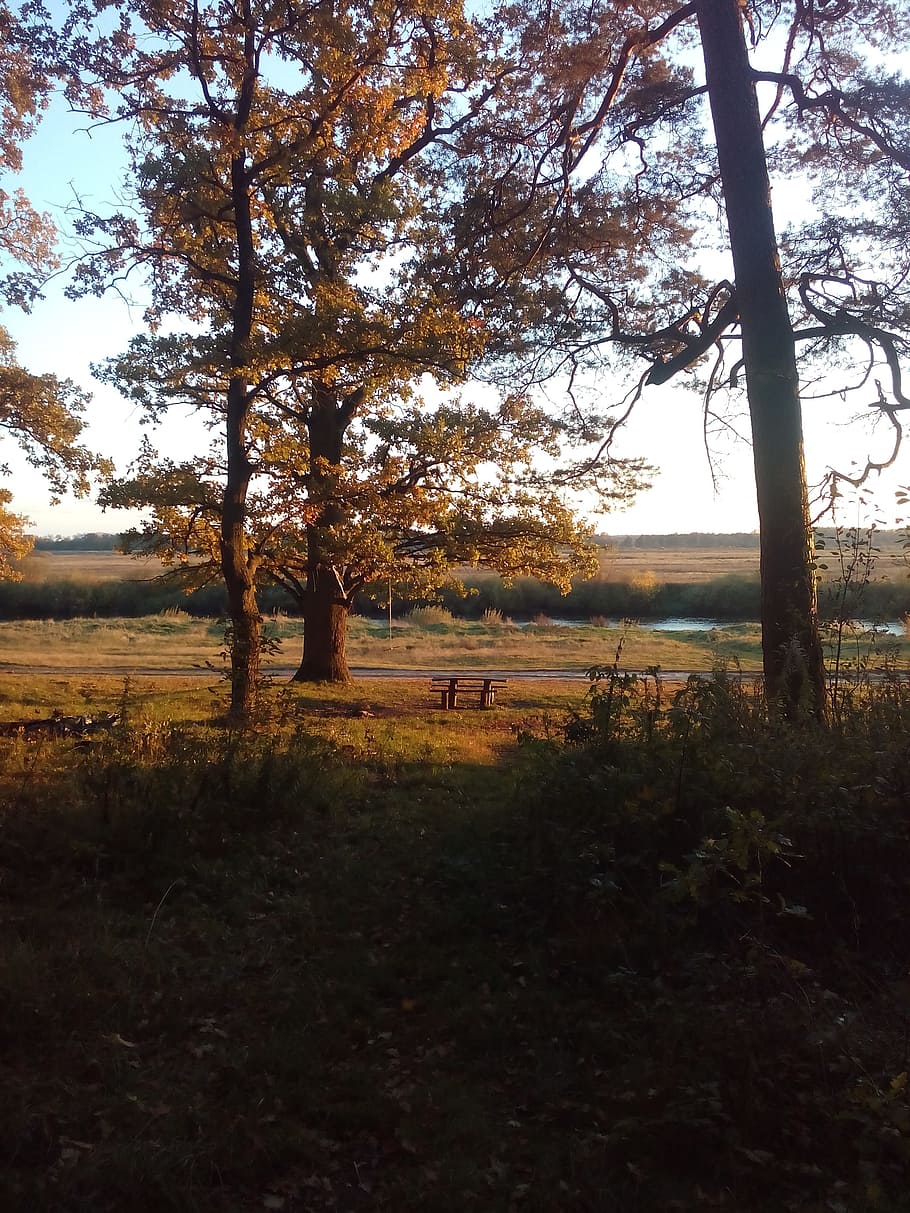 Autumn, Nature, Forest, River, Grass, trees, fishing, sunset HD wallpaper