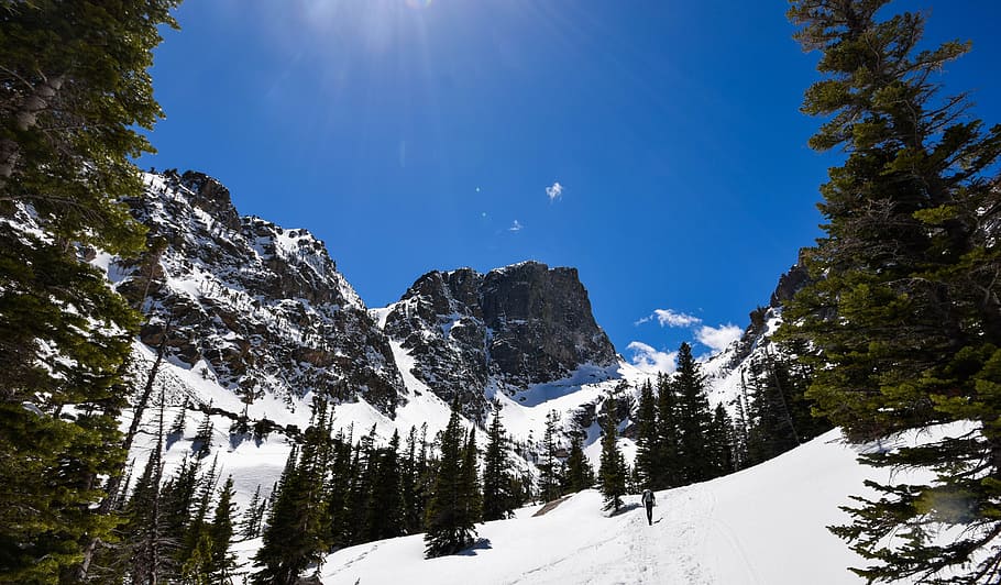 alpine, cold, conifer, daylight, evergreen, frozen, hill, ice HD wallpaper