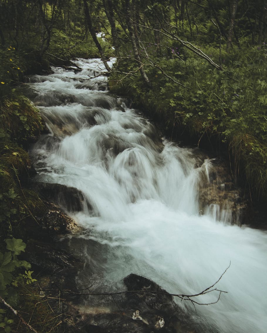 Forest Water Falls, creek, daylight, environment, flow, landscape HD wallpaper