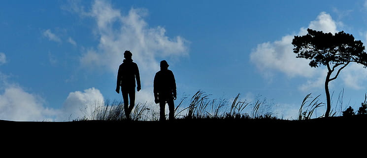 silhouette of two person standing on grass near tree under blue sky with white clouds HD wallpaper