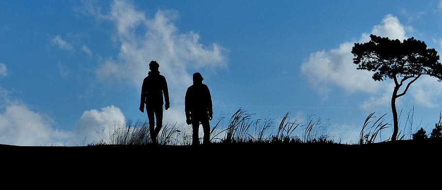 silhouette of two person standing on grass near tree under blue sky with white clouds HD wallpaper