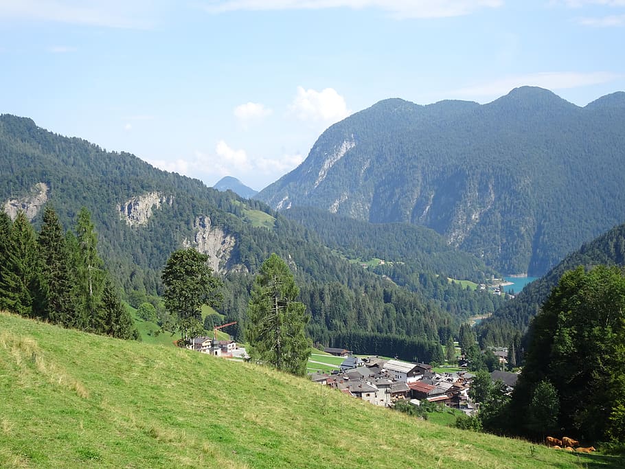 sauris, mountains, valley, tree, scenics - nature, plant, beauty in nature HD wallpaper