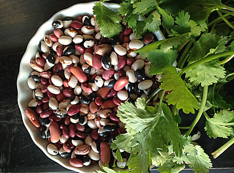 seeds and vegetables on bowl, beans, cilantro, food, fresh HD wallpaper