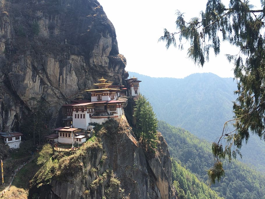 bird's eye view of white and brown temple on mountain cliff, Tiger