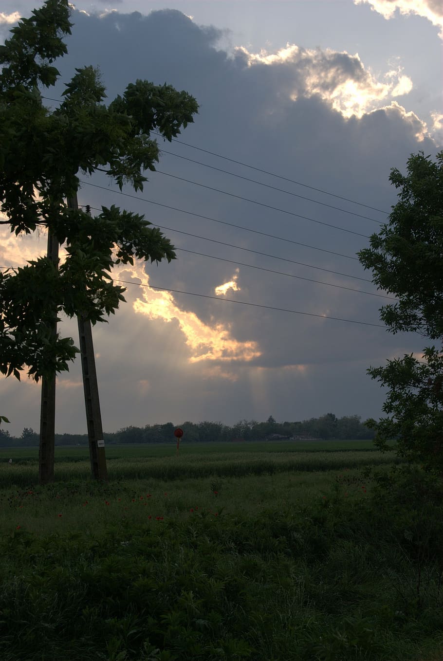 cloud, colors, shadows, sky, day s, clouds, light, nature, plant HD wallpaper