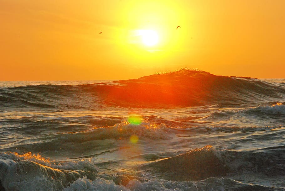 HD wallpaper: Photography of Ocean Wave during Golden Hour, beach ...