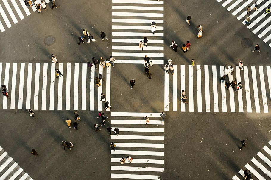 aerial view photography of people crossing road, bird's eye view of group of people on pedestrian lane