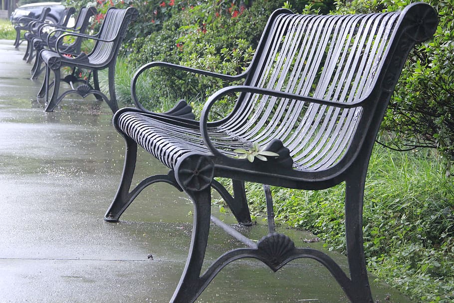 campus, rest, chair, seat, empty, absence, plant, bench, no people HD wallpaper