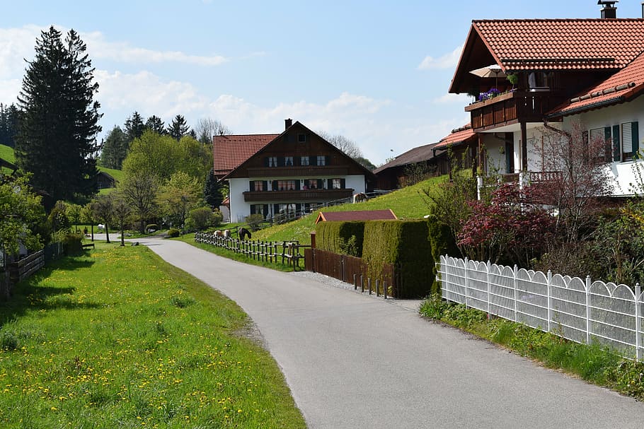 germany, house, nature, plant, building exterior, architecture HD wallpaper